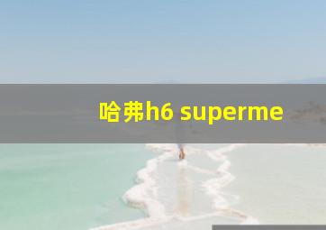 哈弗h6 superme